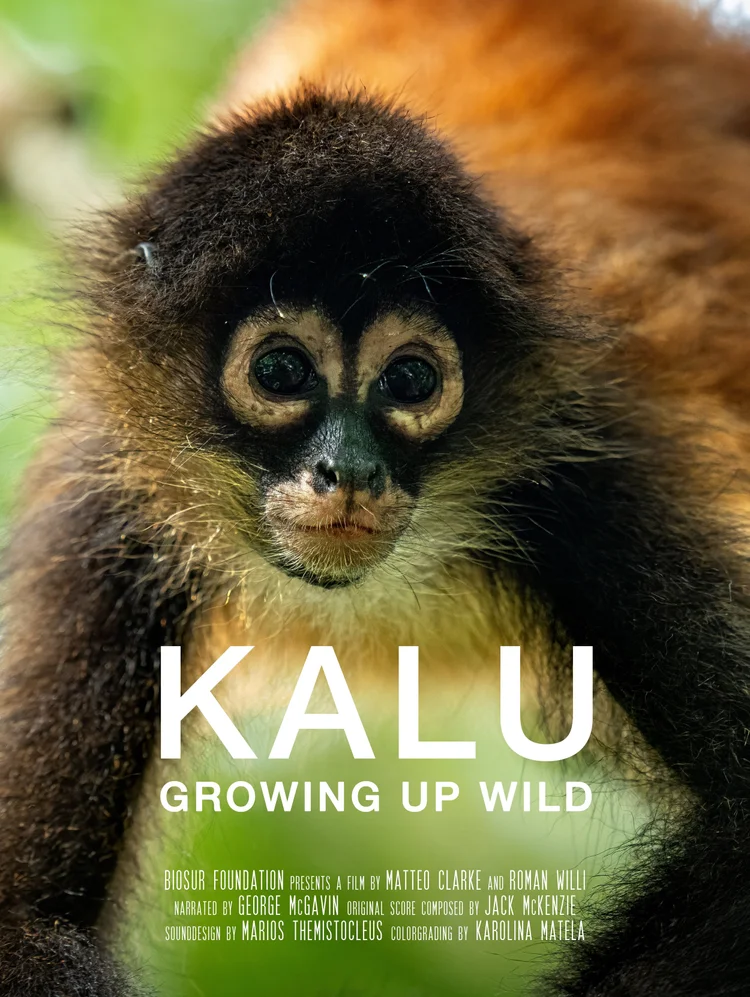 Kalu